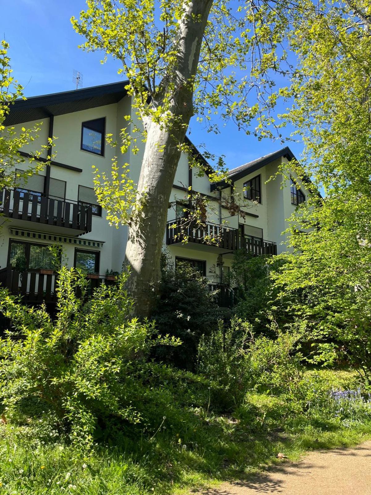 Zentrale Ferienwohnung Am Buhlschen Park In Дайдесхайм Екстериор снимка